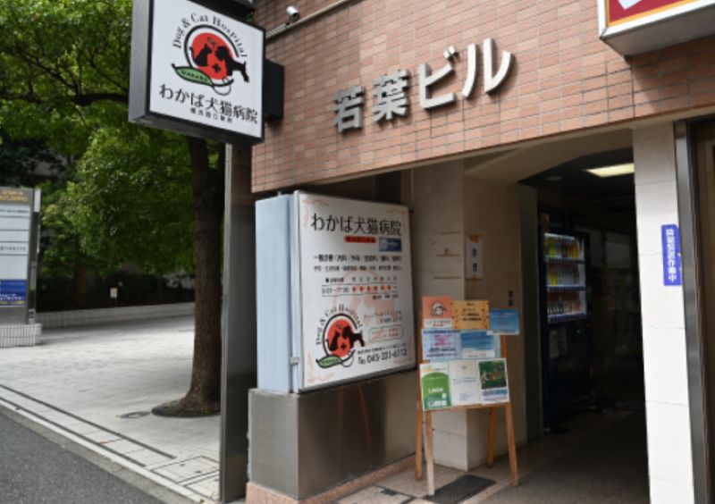 わかば犬猫病院 横浜西口駅前photo