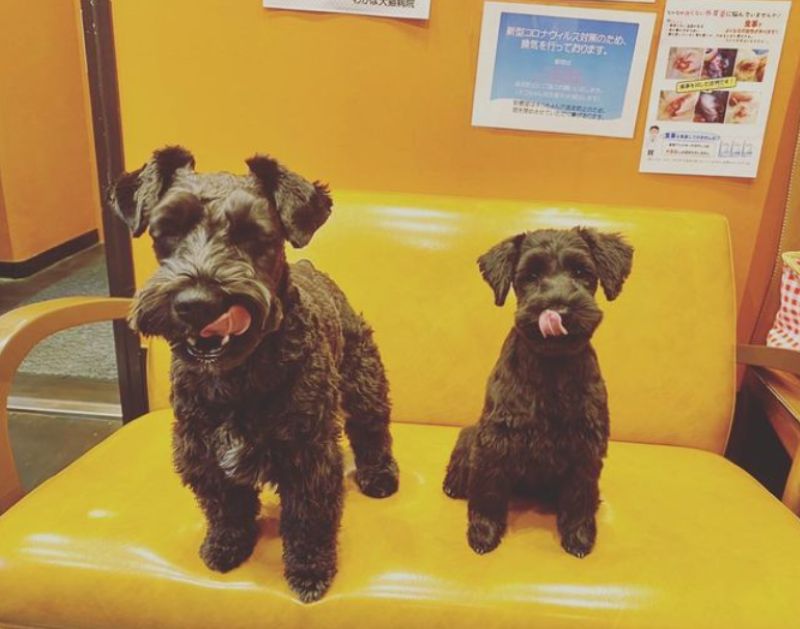 わかば犬猫病院 横浜西口駅前photo