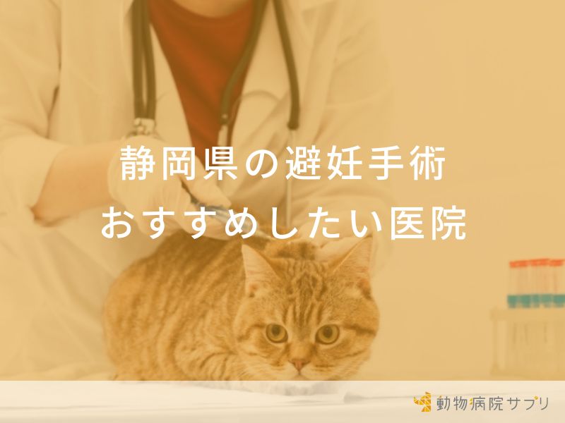 静岡県の避妊手術おすすめしたい医院