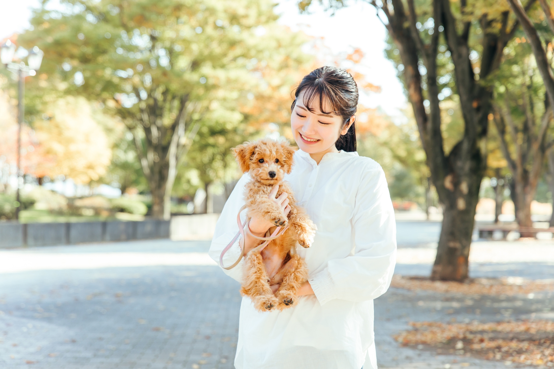 公園で犬と遊ぶ女性