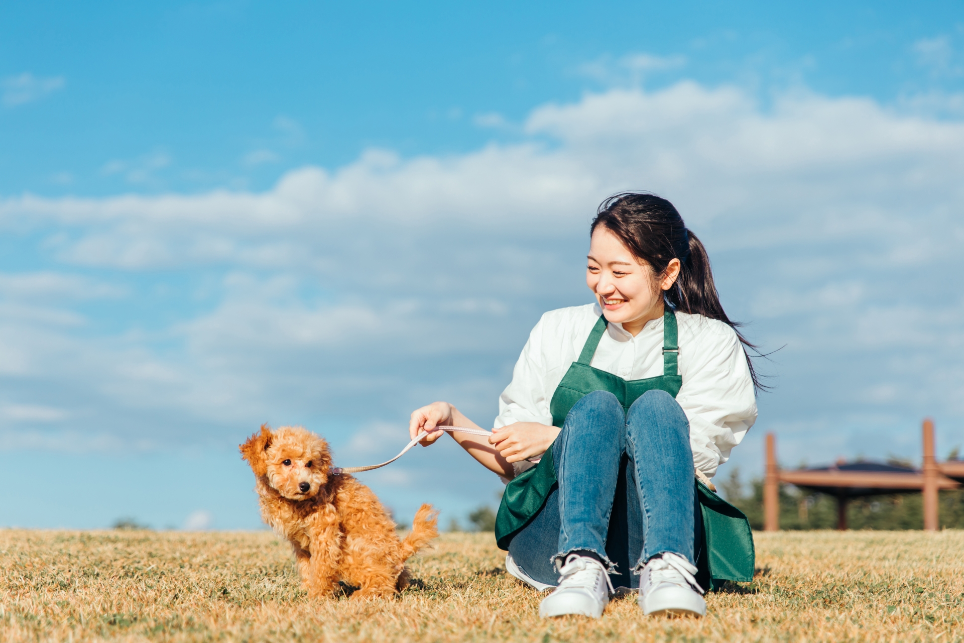 愛犬と遊ぶ女性