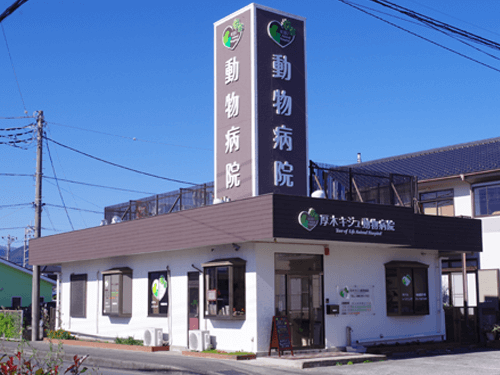 厚木キジュ動物病院