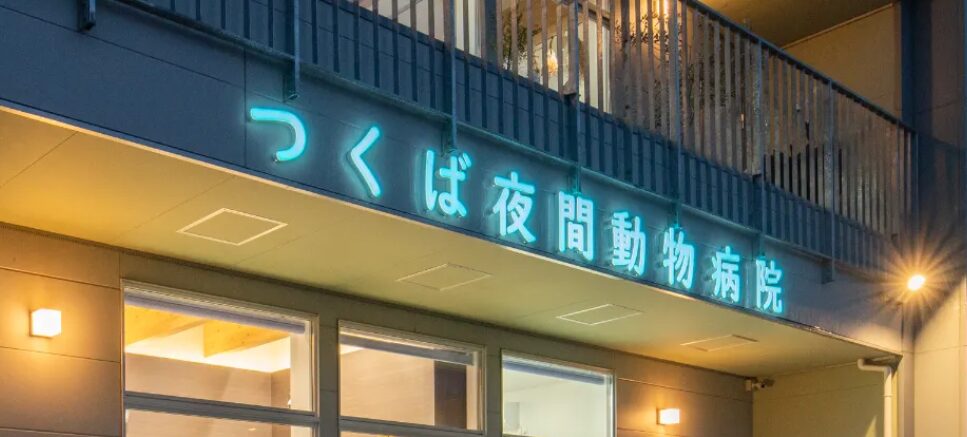 つくば夜間動物病院