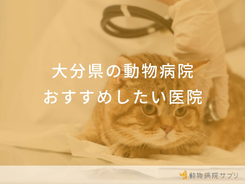 大分県の動物病院おすすめしたい医院