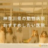 【2025年】神奈川県の動物病院 おすすめしたい6医院