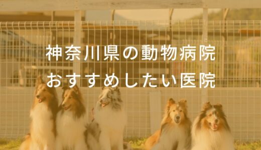 【2025年】神奈川県の動物病院 おすすめしたい6医院