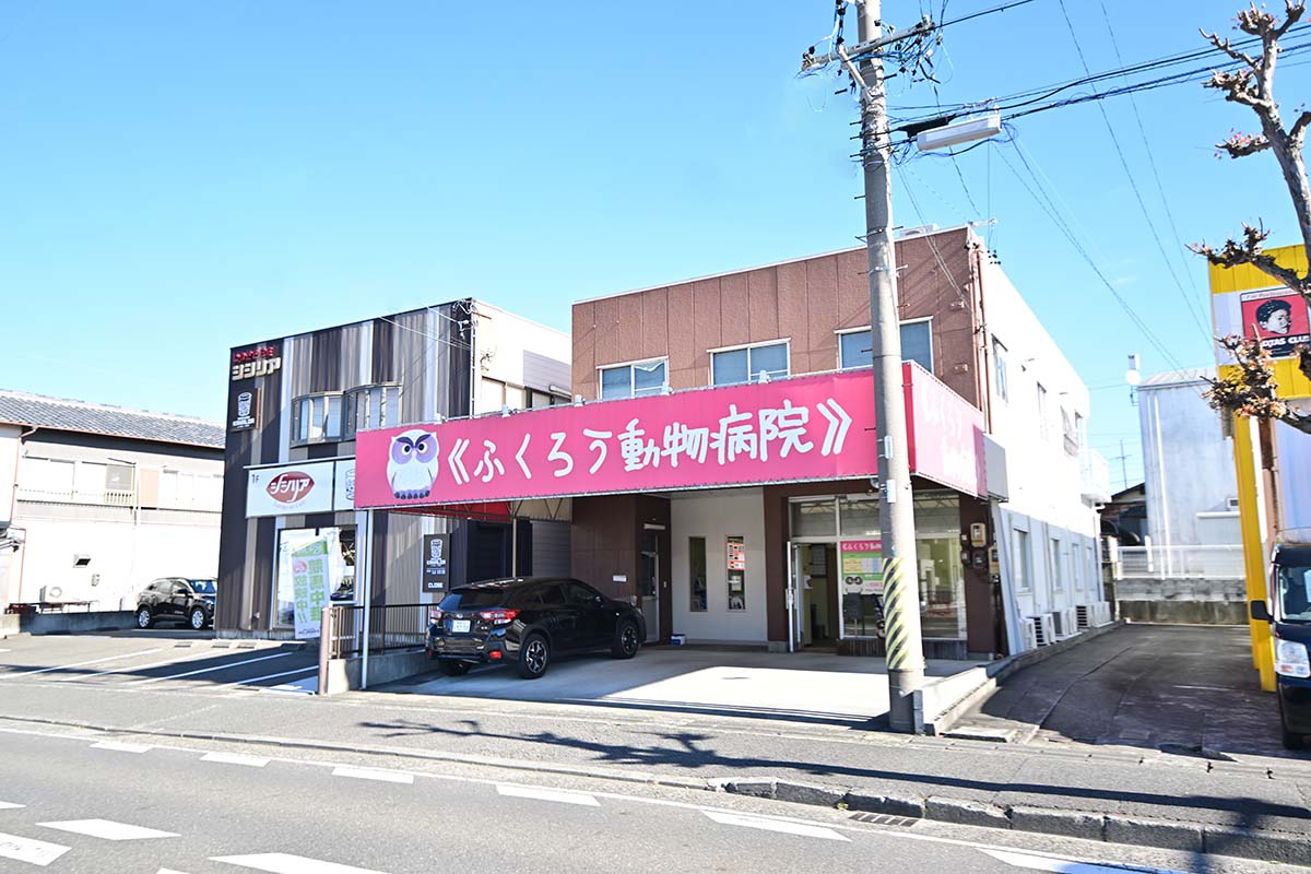 ふくろう動物病院