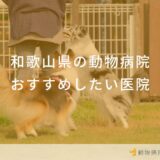 【2025年】和歌山県の動物病院 おすすめしたい6医院