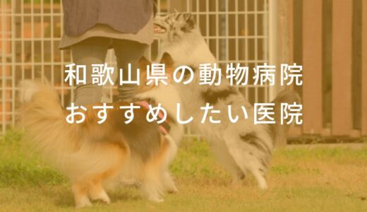【2025年】和歌山県の動物病院 おすすめしたい6医院