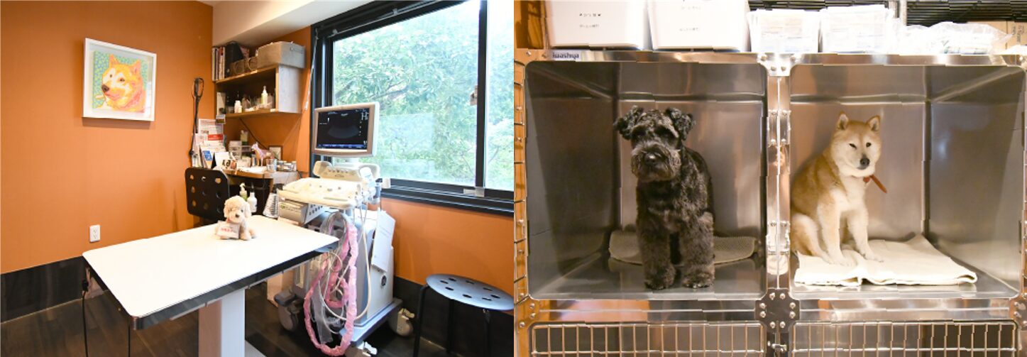 わかば犬猫病院 横浜西口駅前photo
