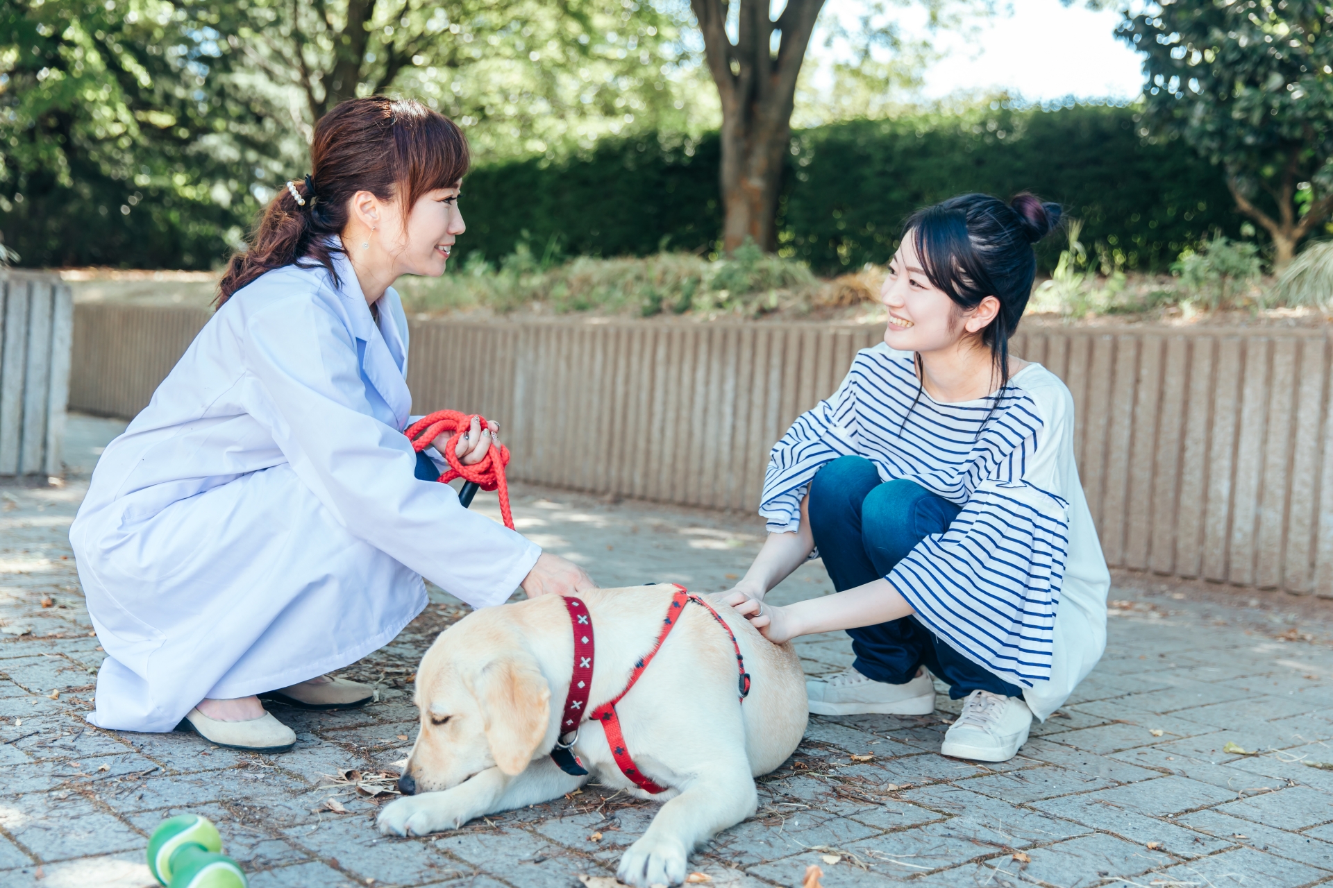 獣医さんと飼い主