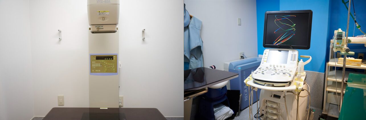 名古屋みなとテイルズ犬猫病院photo