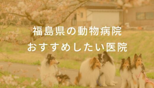 【2025年】福島県の動物病院 おすすめしたい6医院