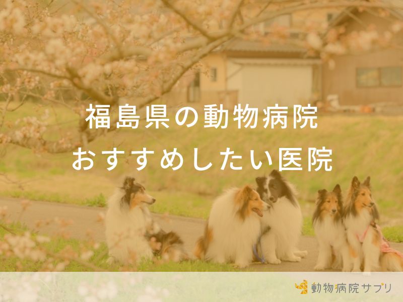 福島県の動物病院おすすめしたい医院