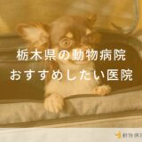 【2026年】栃木県の動物病院 おすすめしたい6医院