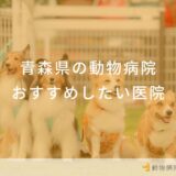 【2025年】青森県の動物病院  おすすめしたい6医院