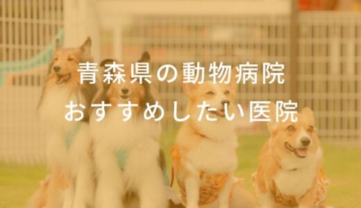 【2025年】青森県の動物病院  おすすめしたい6医院