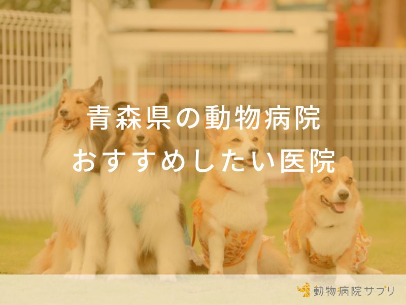 青森県の動物病院おすすめしたい医院