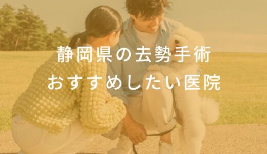 【2025年】静岡県 去勢手術の動物病院 おすすめしたい6医院