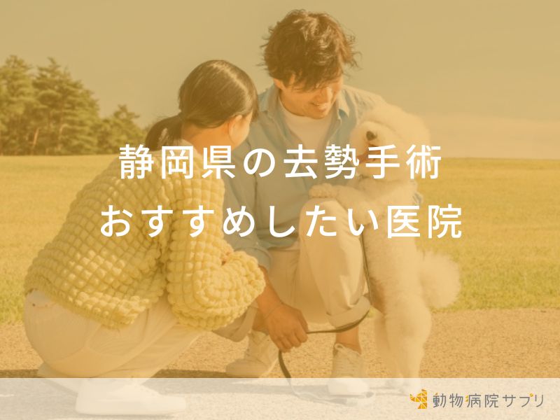 静岡県の去勢手術おすすめしたい医院