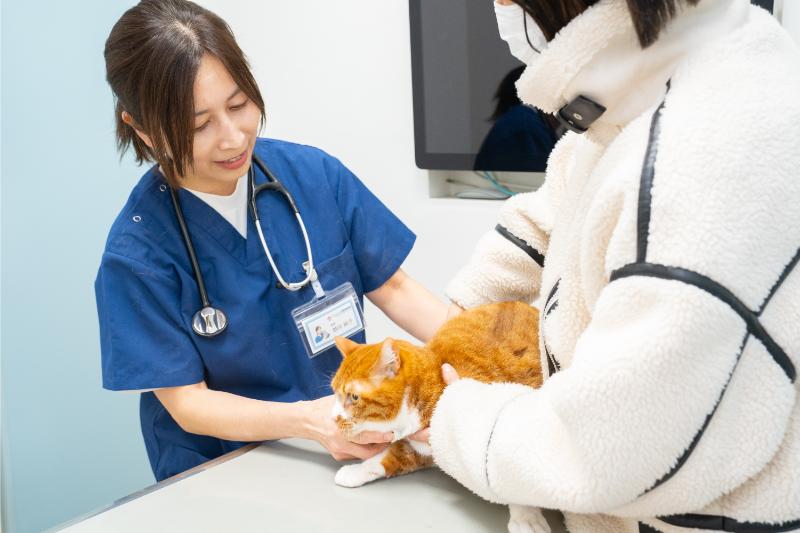 つつじヶ丘動物病院