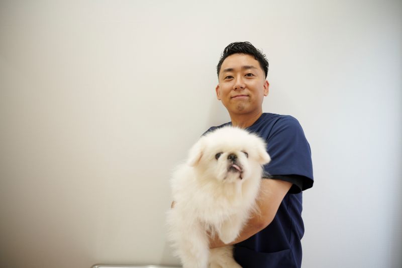 名古屋みなとテイルズ犬猫病院photo