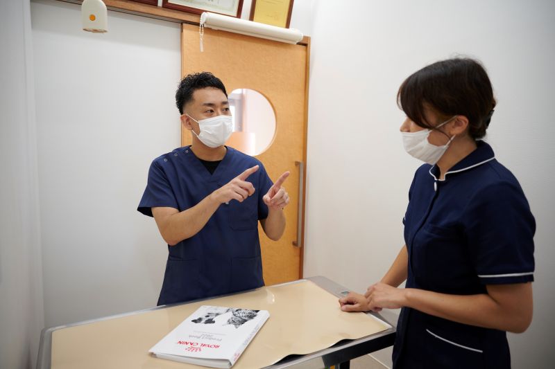 名古屋みなとテイルズ犬猫病院photo