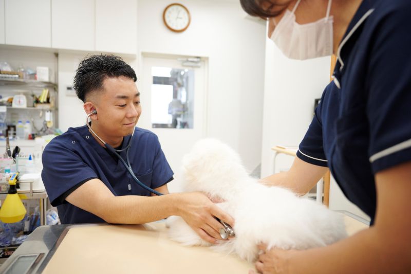 名古屋みなとテイルズ犬猫病院photo