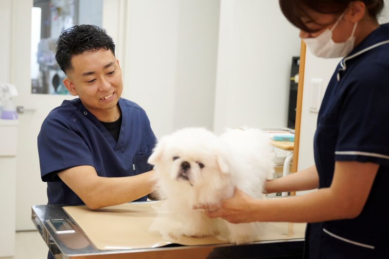 名古屋みなとテイルズ犬猫病院photo