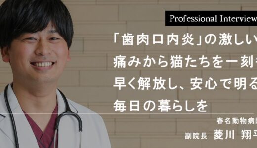 「歯肉口内炎」の激しい痛みから猫たちを一刻も早く解放し、安心で明るい毎日の暮らしを