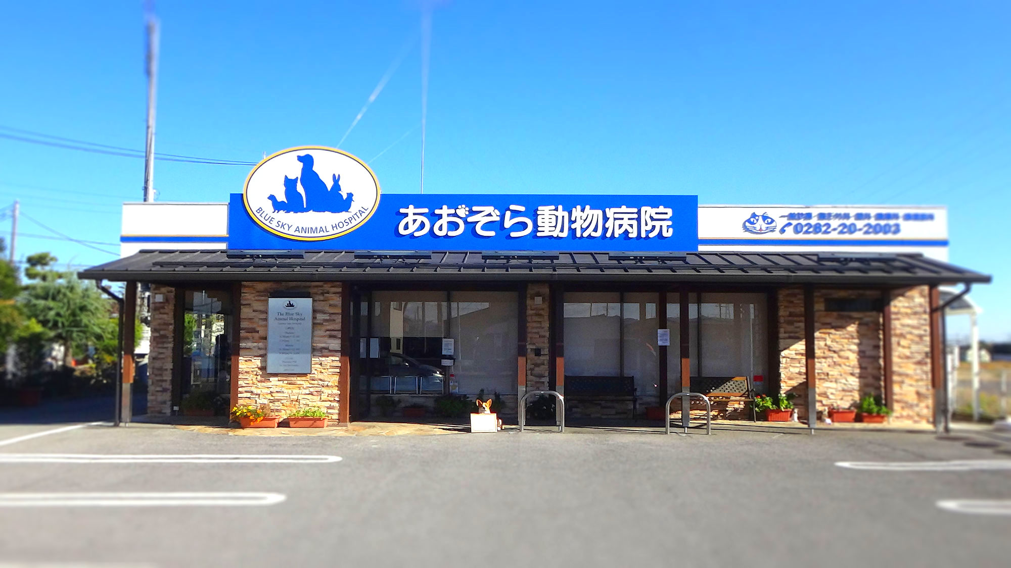あおぞら動物病院