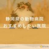 【2025年】静岡県の動物病院 おすすめしたい6医院