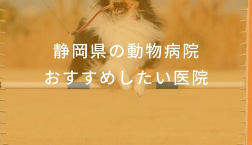 【2025年】静岡県の動物病院 おすすめしたい6医院