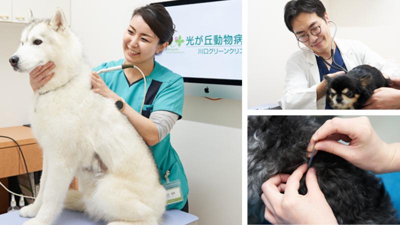 川口グリーンクリニック