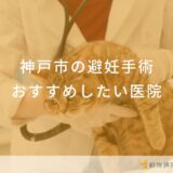 【2025年】神戸市 避妊手術の動物病院 おすすめしたい6医院