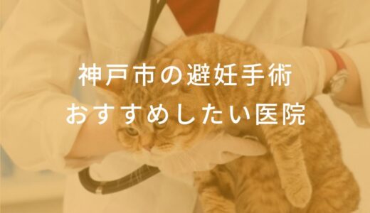 【2025年】神戸市 避妊手術の動物病院 おすすめしたい6医院