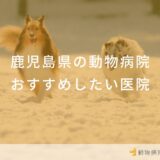 【2025年】鹿児島県の動物病院  おすすめしたい6医院