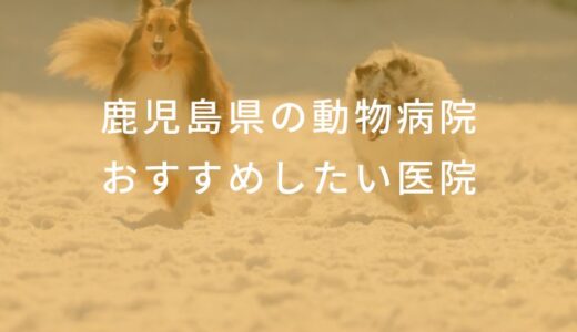 【2025年】鹿児島県の動物病院  おすすめしたい6医院