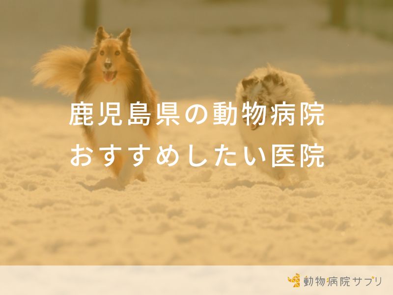 鹿児島県の動物病院おすすめしたい医院