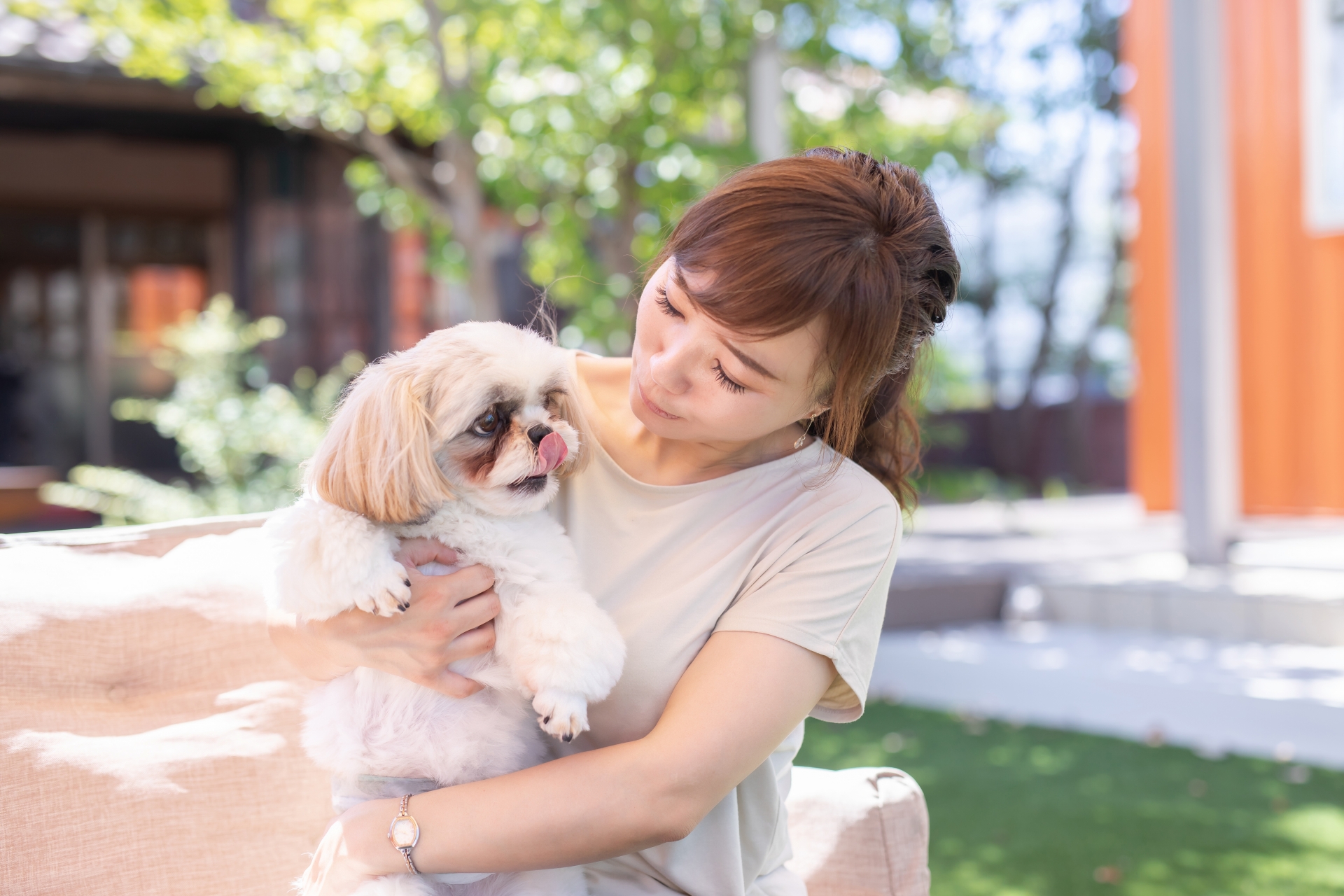 犬と女性