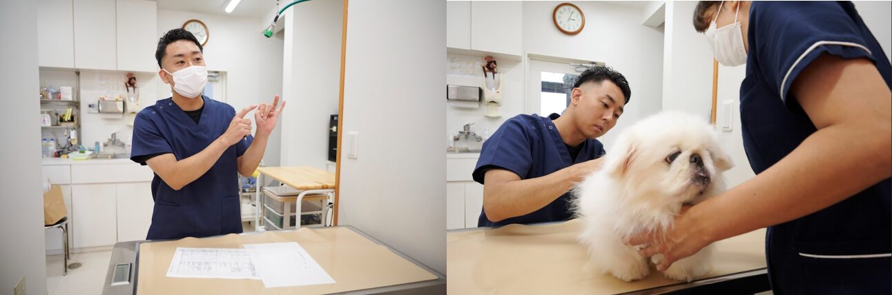 名古屋みなとテイルズ犬猫病院photo