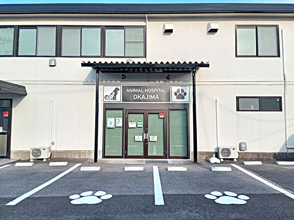 動物病院おかじま