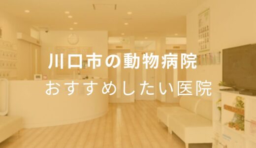 【2025年】川口市の動物病院 おすすめしたい1医院