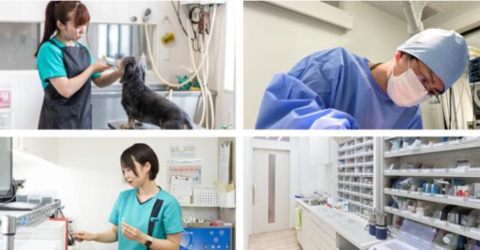 川口グリーンクリニック