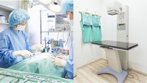 川口グリーンクリニック