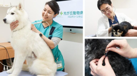 川口グリーンクリニック