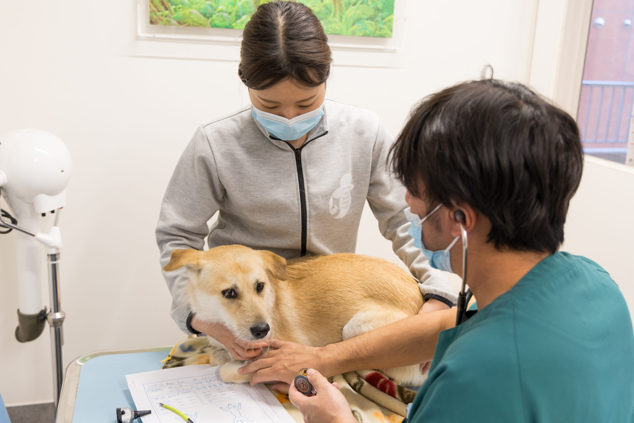 広尾の森どうぶつ病院