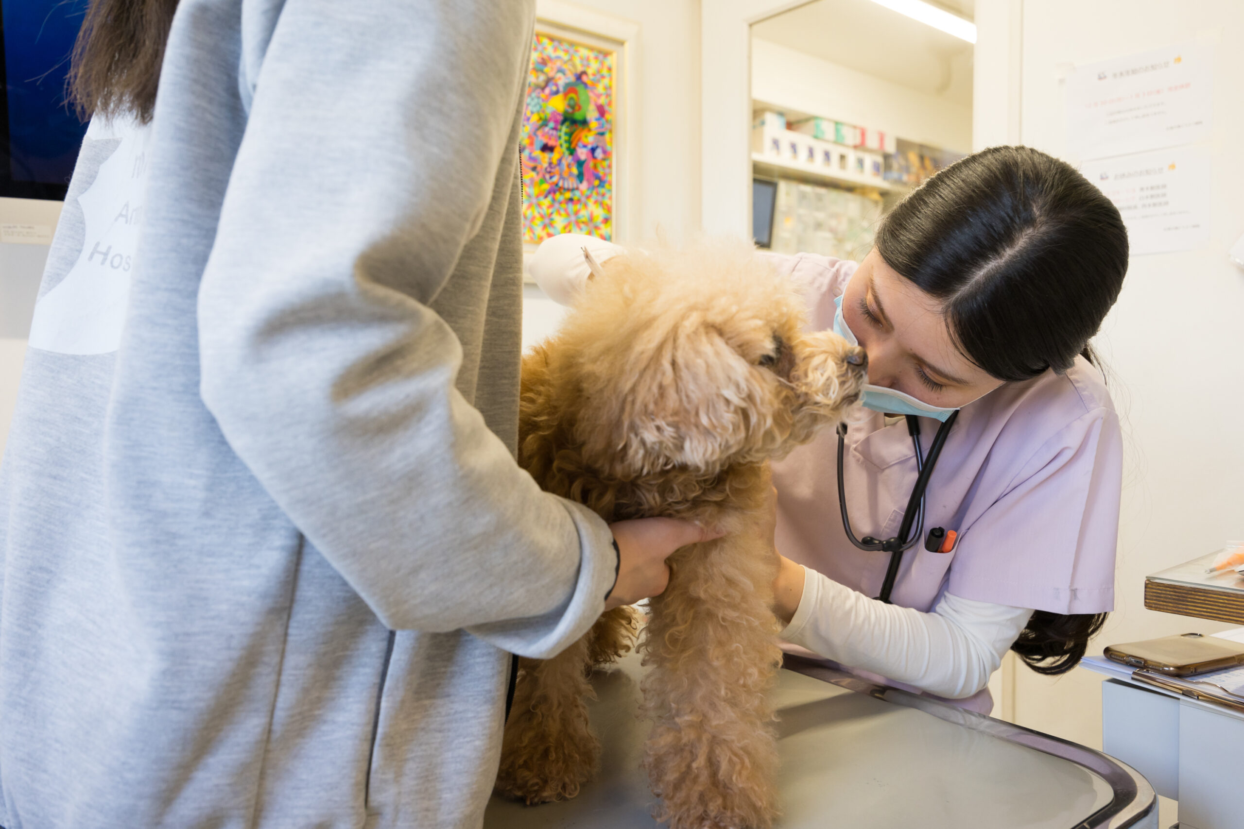 広尾の森どうぶつ病院