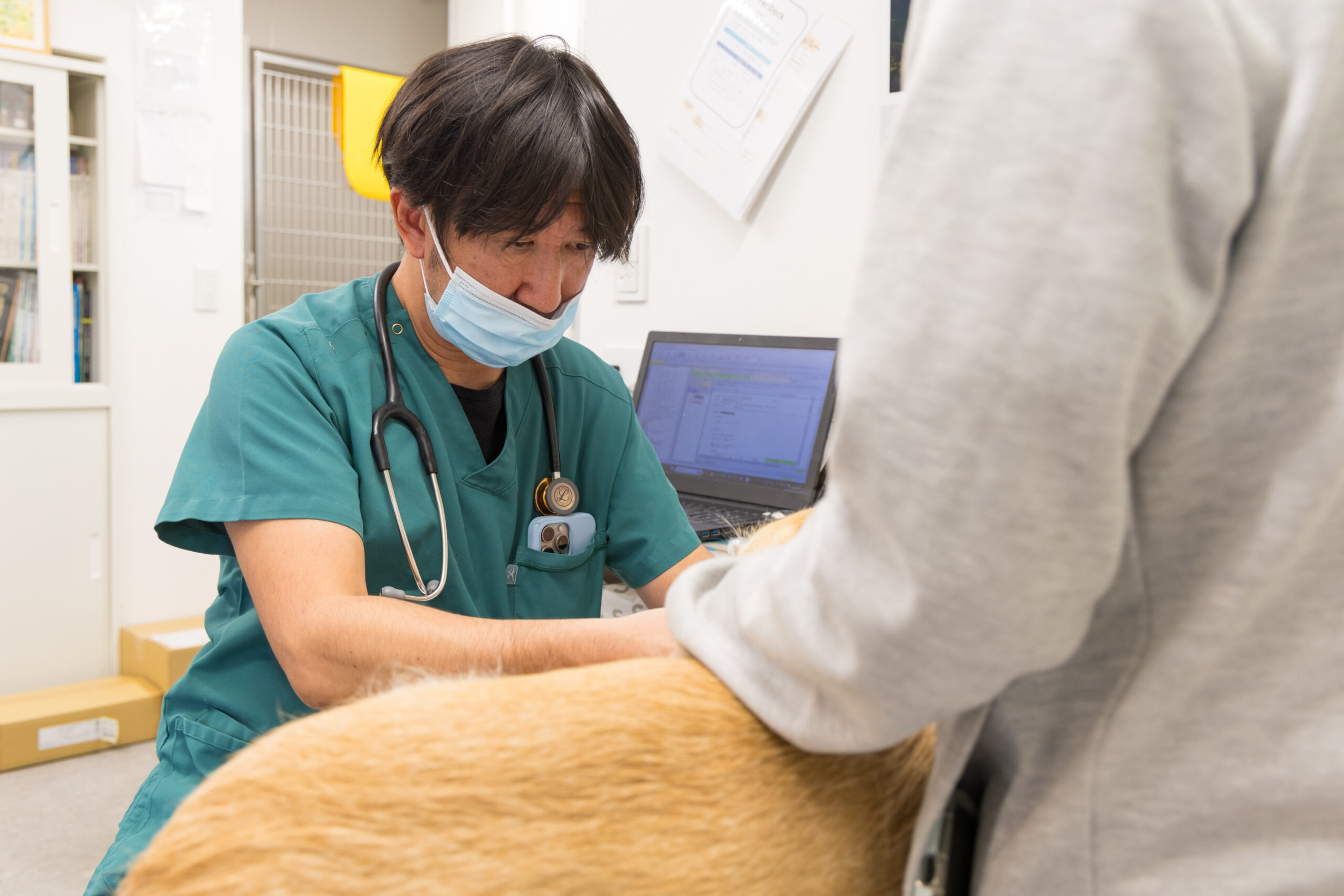 広尾の森どうぶつ病院