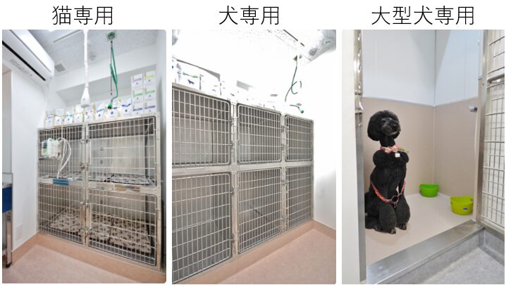 広尾の森どうぶつ病院